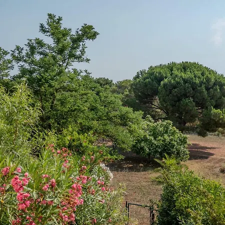 Charming With Terrace Near The Beaches * Hyères